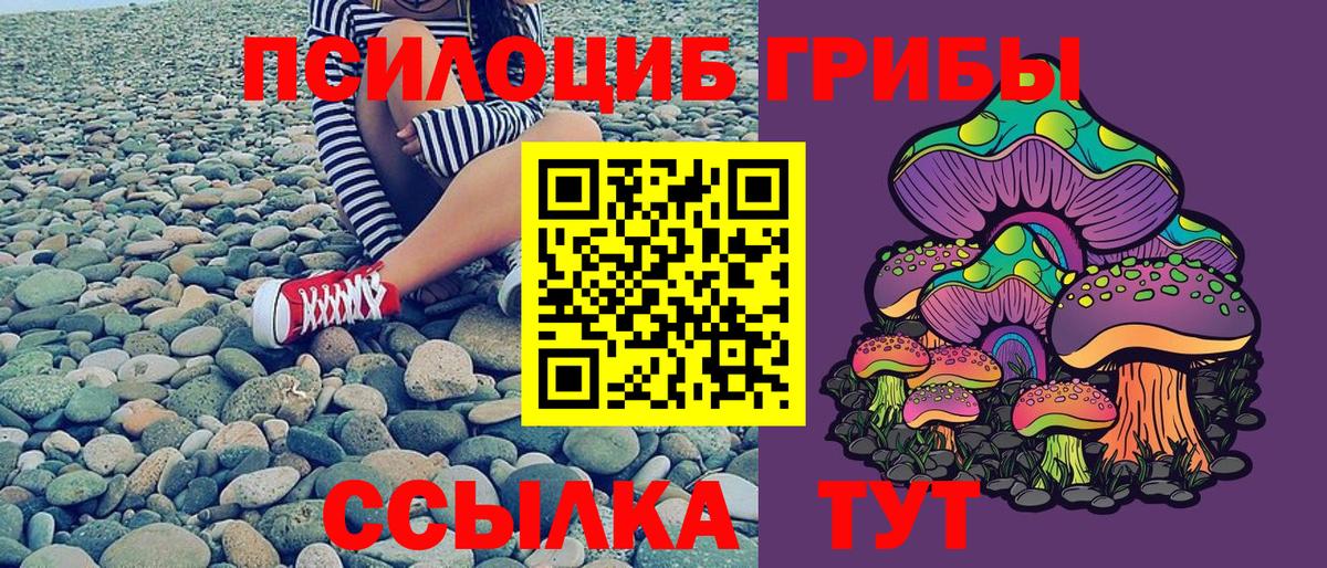 Богданович  Псилоцибиновые грибы мухоморы  Вход с VPN  Галлюциногенные грибы ЛСД 